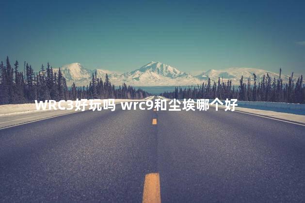 WRC3好玩吗 wrc9和尘埃哪个好玩